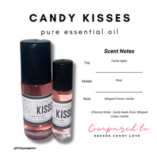 Niche Perfume Oil Collection 10 ml