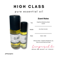 Niche Perfume Oil Collection 10 ml