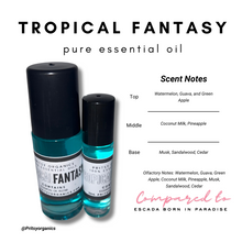 Niche Perfume Oil Collection 10 ml