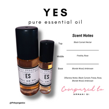 Niche Perfume Oil Collection 10 ml