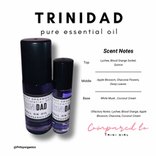 Niche Perfume Oil Collection 10 ml