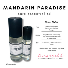 Niche Perfume Oil Collection 10 ml